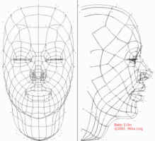 Betty50m_wireframe.jpg (96395 bytes)