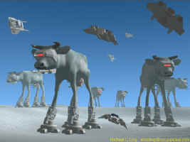 cowalk1d.jpg (48104 bytes)