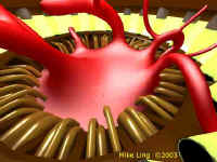 SanguinHeart1g.jpg (18914 bytes)