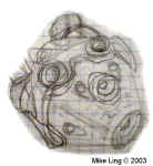 MikeLing2D_0224.JPG (34920 bytes)