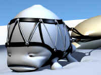 ZZ_BOB_03a.jpg (157226 bytes)