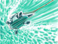 ZZ_BOB_underwater_01a.JPG (43293 bytes)